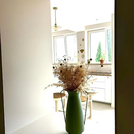 Appartement Grand Appart Neuf Centre Clim *